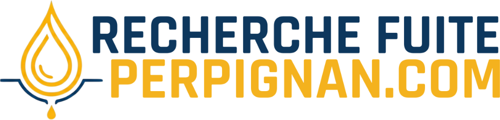 Logo Recherche Fuite Perpignan