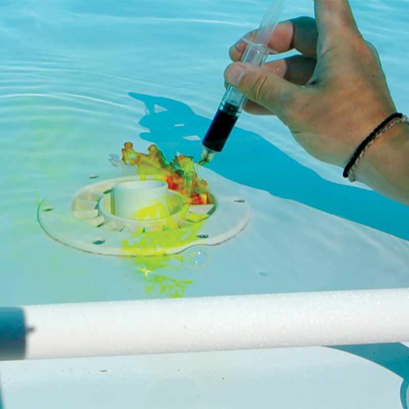 Test d'une fuite de piscine grâce au colorant